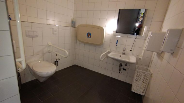 Ein sauberes, barrierefreies Badezimmer mit einem WC und einem Waschbecken. An der Wand sind praktische Haltegriffe und ein Spiegel angebracht.