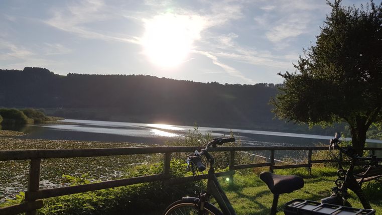 Ein ruhiger See mit Sonnenlicht, das über das Wasser strahlt. Ein Fahrrad steht auf dem Weg, umgeben von grüner Vegetation und einem schönen Ausblick.
