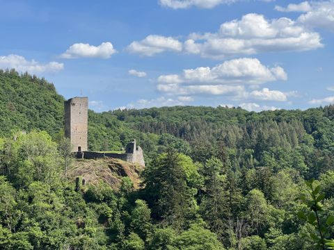 Eine alte Burg steht auf einem Hügel, umgeben von dichter grüner Waldlandschaft. Der Himmel ist blau mit einigen weißen Wolken.