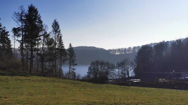 Eine ruhige Landschaft mit grünen Wiesen und hohen Bäumen. Im Hintergrund sind Berge und ein See zu sehen, umgeben von Nebel.