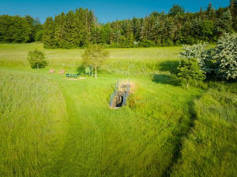 A green meadow with trees and a small stream. In the background, there are a few seating areas to relax.