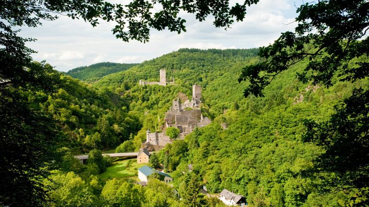 Blick auf die Manderscheider Burgen inmitten grüner Wälder.