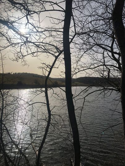 Ein ruhiger See, umgeben von kahlen Bäumen. Die Sonne spiegelt sich in der Wasseroberfläche.