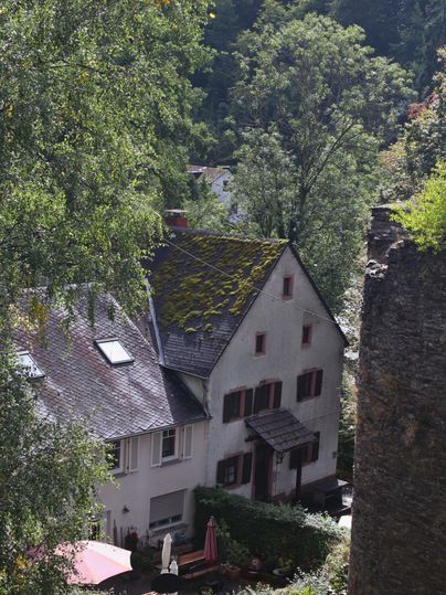 Ein charmantes Haus umgeben von grüner Natur. Die Dachziegel sind mit Moos bewachsen und im Vordergrund sind Pflanzen und eine Sitzgelegenheit zu sehen.