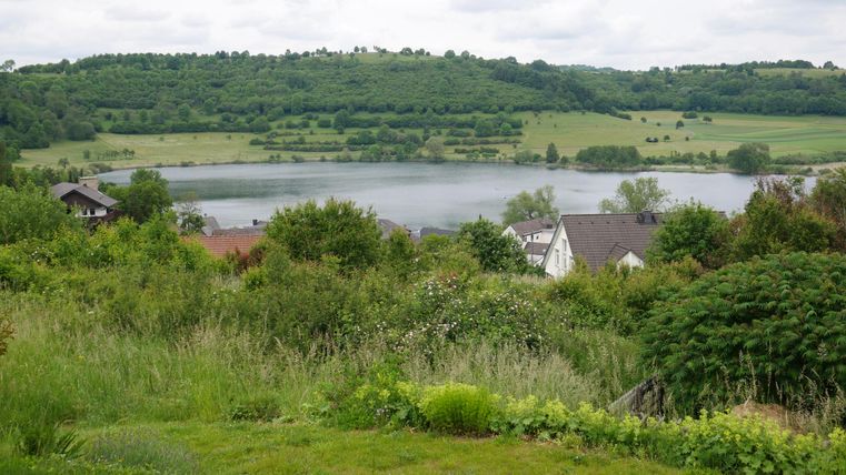 Eine malerische Landschaft mit einem See, umgeben von Hügeln und Bäumen. Im Vordergrund befinden sich grüne Wiesen und einige Häuser.