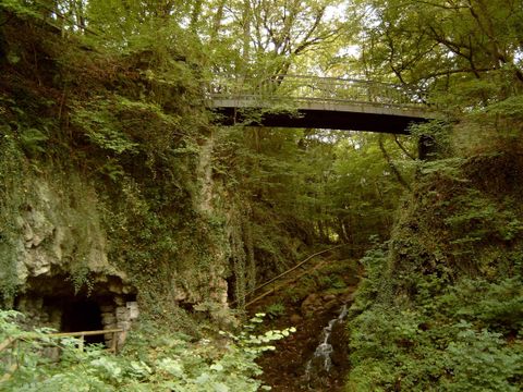 Eine malerische Landschaft mit üppigem, grünem Wald und einem kleinen Wasserfall. Eine Brücke führt über eine Schlucht.