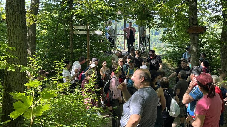 Eine Gruppe von Menschen steht im Wald, umgeben von Bäumen und grüner Vegetation. Es scheint eine Veranstaltung oder Tour zu sein, die in der Natur stattfindet.