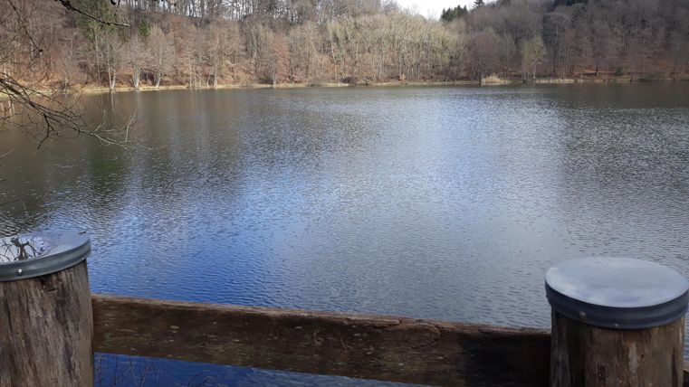 Ein ruhiger See umgeben von Bäumen. Die Wasseroberfläche spiegelt den klaren Himmel wider.