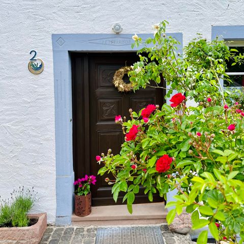 Ein hübsches Eingangstor mit einer dunklen HolzTür und bunten Blumen. Die Pflanzen umrahmen den Eingang und verleihen ihm eine einladende Atmosphäre.