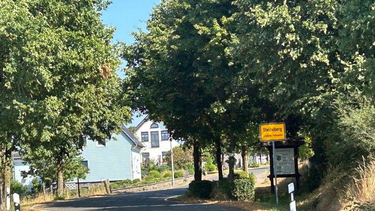 Ein blühender Baum steht auf einer Wiese mit bunten Blumen. Im Hintergrund sind sanfte Hügel und ein ruhiger Weg zu sehen.