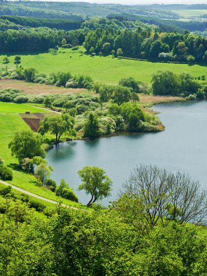 Eine malerische Landschaft mit einem ruhigen See, umgeben von üppigem Grün. Die sanften Hügel und Bäume schaffen eine friedliche Atmosphäre.