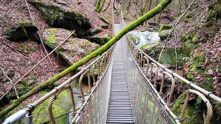 Eine Hängebrücke führt über einen kleinen Bach in einem bewaldeten Gebiet. Der Boden ist mit abgefallenen Blättern bedeckt, und Moos wächst auf den Felsen.