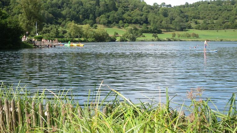 Ein ruhiger See umgeben von grünen Wäldern und Wiesen. Im Wasser sind Personen beim Schwimmen und Stand-Up-Paddling zu sehen.