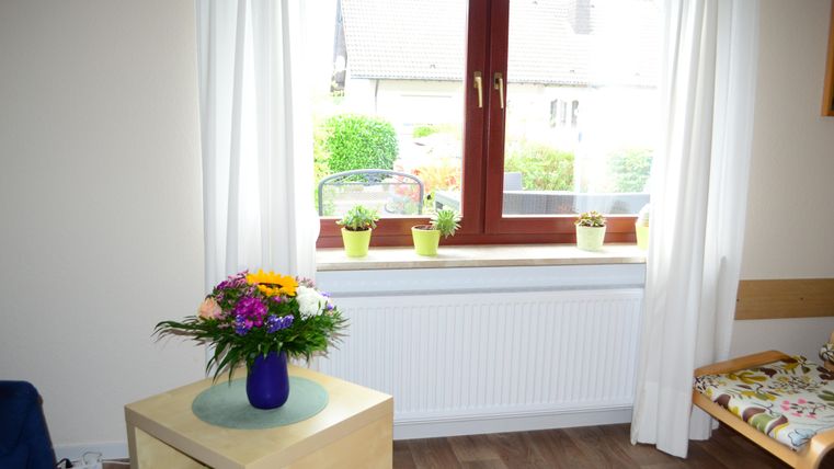 Ein heller Raum mit einem Fenster, durch das viel Licht fällt. Auf dem Tisch steht eine bunte Blumenvasen und frische Pflanzen auf der Fensterbank.