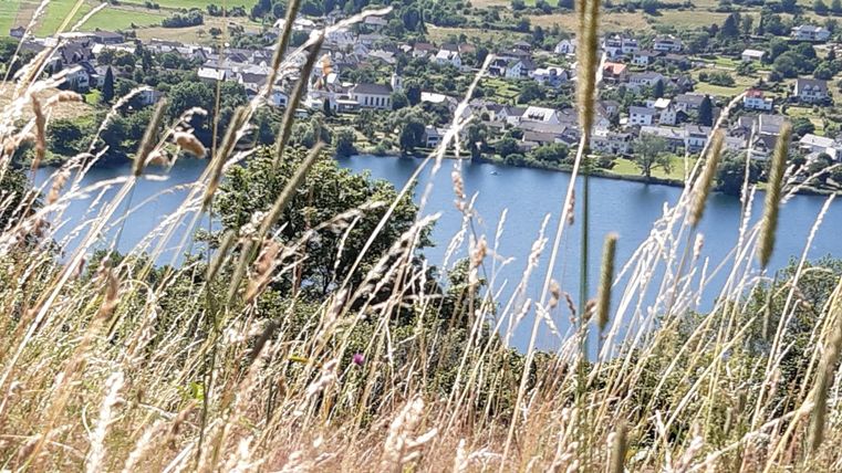 Eine landschaftliche Ansicht mit hohem Gras im Vordergrund und einem ruhigen See im Hintergrund. Die kleine Stadt mit Häusern ist am Ufer sichtbar.
