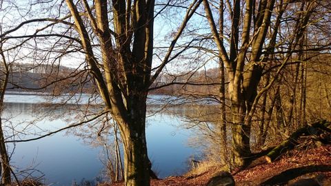 Ein ruhiger See umgeben von Bäumen im Herbst. Die Atmosphäre ist friedlich und einladend.