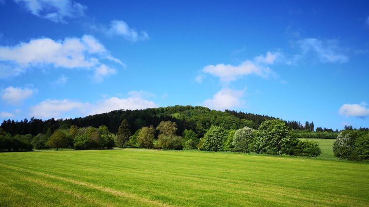 Eine grüne Wiese unter einem klaren blauen Himmel. Sanfte Hügel und Bäume begrenzen die Landschaft.