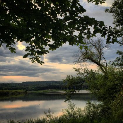 Ein ruhiger See umgeben von üppigem Grün und Bäumen. Der Himmel ist bewölkt, und das Wasser spiegelt die Farben der Wolken wider.