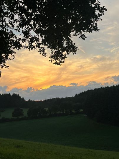 Ein schöner Sonnenuntergang über grünen Feldern und Bäumen. Der Himmel ist mit warmen Farbtönen gefärbt.