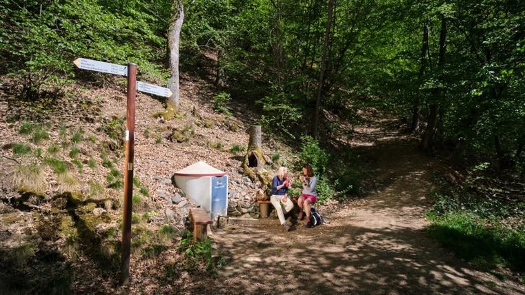 Ein schöner Waldweg mit viel grünem Laub. Zwei Personen sitzen auf einer Bank und genießen die Ruhe der Natur.