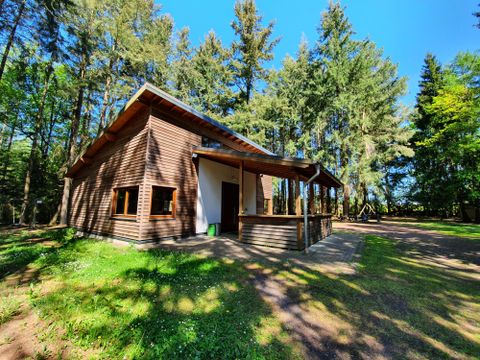 Ein gemütliches Holzhaus steht umgeben von hohen Bäumen. Der klare Himmel und das grüne Gras verleihen der Szene eine einladende Atmosphäre.