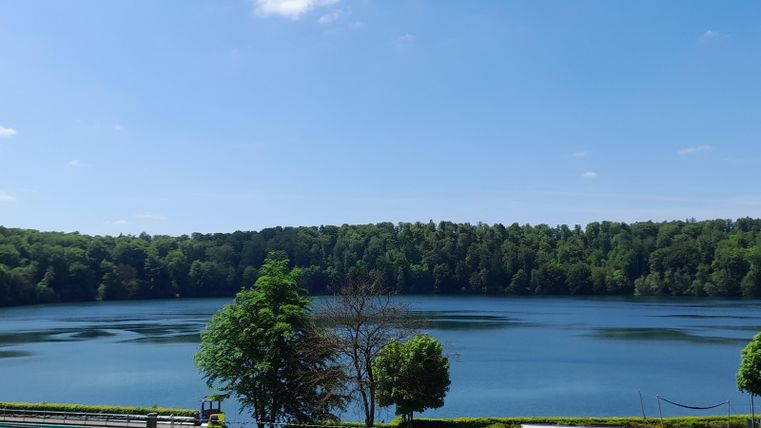 Ein ruhiger See umgeben von üppigem Grün. Der Himmel ist klar und blau, ideal für einen entspannten Tag in der Natur.