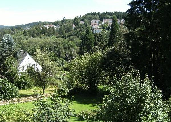 Eine grüne Landschaft mit Bäumen und Sträuchern. Im Hintergrund sind Häuser auf einem Hügel zu sehen.
