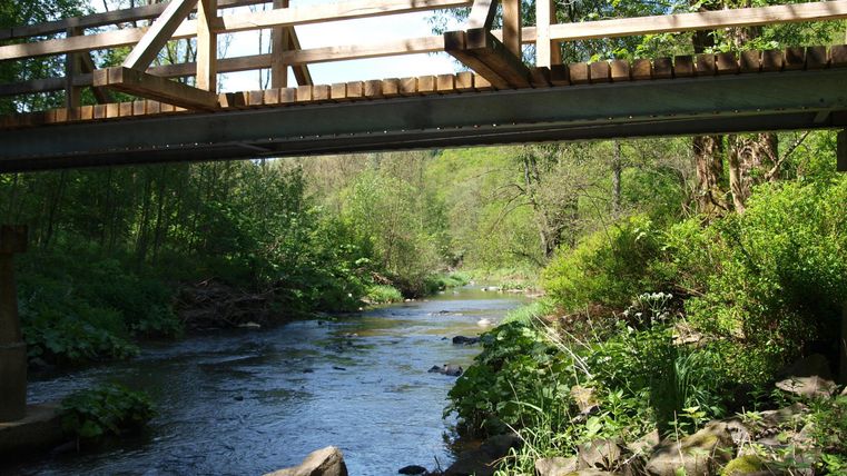 Eine Holzbrücke überspannt einen ruhigen Fluss, der von grünen Bäumen umgeben ist. Die Landschaft ist hell und einladend.