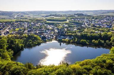 Eine malerische Landschaft mit einem ruhigen See und einer kleinen Stadt im Hintergrund. Üppige grüne Bäume umgeben das Wasser und bieten eine friedliche Atmosphäre.