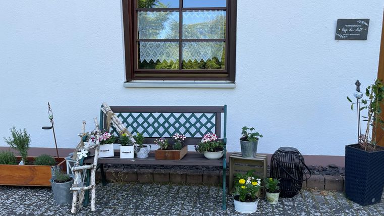 Eine gemütliche Sitzbank vor einem weißen Haus, umgeben von verschiedenen Pflanzen und Blumen. Der Fensterblick zeigt eine grüne Landschaft im Hintergrund.
