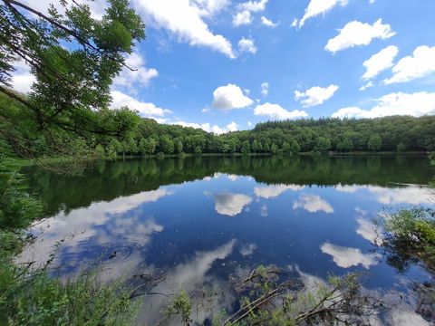 Ein ruhiger See umgeben von grünen Bäumen und einem klaren blauen Himmel. Die Wolken spiegeln sich sanft auf der Wasseroberfläche.