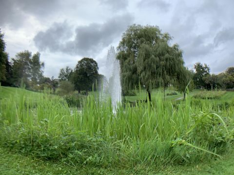 Ein schöner Park mit einer Wasserfontäne in einem Teich. Umgeben von hohen Gräsern und Bäumen unter einem bewölkten Himmel.