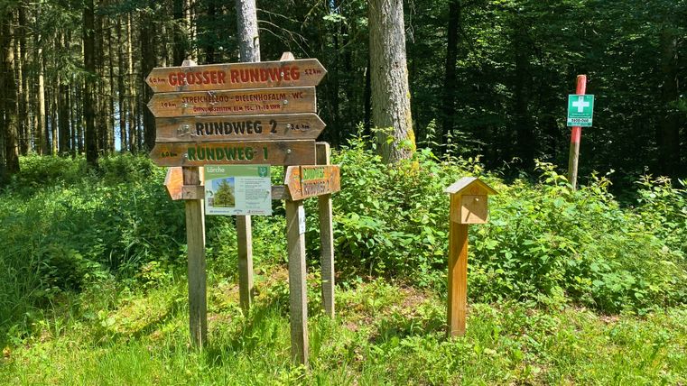 Wegweiser im Wald mit verschiedenen Rundwegen und einer Stempelstation.