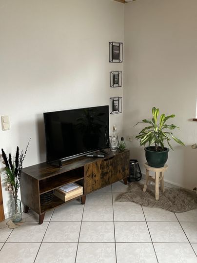 Ein gemütliches Wohnzimmer mit einem Fernseher auf einem Holzmöbel und einer großen Zimmerpflanze. Die Wände sind hell und es gibt einige dekorative Elemente.