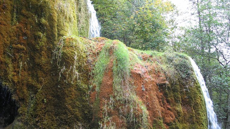 Ein schöner Wasserfall fließt über moosbedeckte Felsen. Umgeben von üppigem Grün und Bäumen, schafft die Szene eine ruhige, natürliche Atmosphäre.