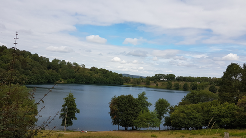 Ein ruhiger See umgeben von Bäumen und Gras. Der Himmel ist teilweise bewölkt und blau.