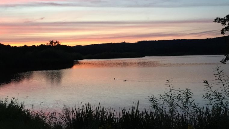 Ein ruhiger See bei Sonnenuntergang, umgeben von Bäumen und Pflanzen. Der Himmel zeigt sanfte Farben in Rot und Blau.