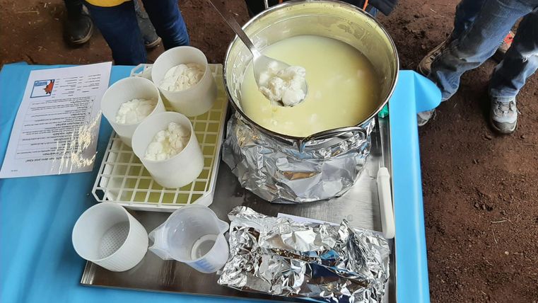 Ein großer Topf mit flüssigem Käse steht auf einem Tisch. Neben dem Topf befinden sich mehrere Becher mit festen Käseportionen.