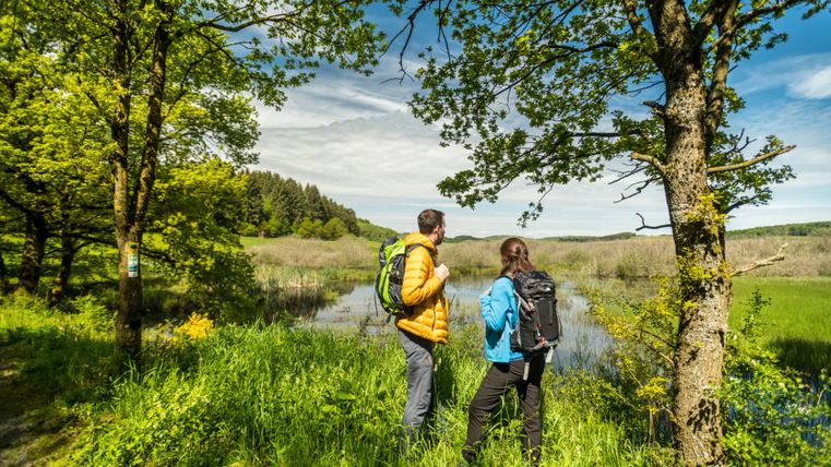 Zwei Wanderer mit Rucksäcken stehen in einem grünen Naturschutzgebiet und blicken auf einen Teich. Bäume und blauer Himmel im Hintergrund.
