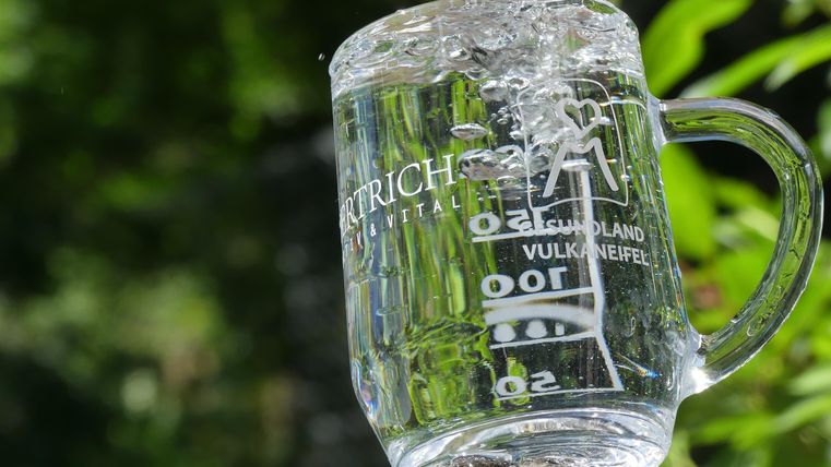 Ein transparentes Glas mit Wasser, in dem es sprudelt. Im Hintergrund sind grüne Pflanzen zu sehen.
