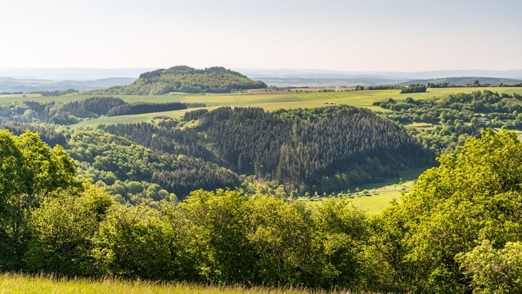 Weitblick auf eine grüne, hügelige Landschaft