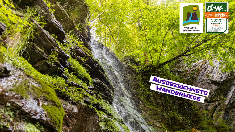 Ein schöner Wasserfall, umgeben von grünem Laub und moosbedeckten Felsen. Die Szene vermittelt eine ruhige und natürliche Atmosphäre.