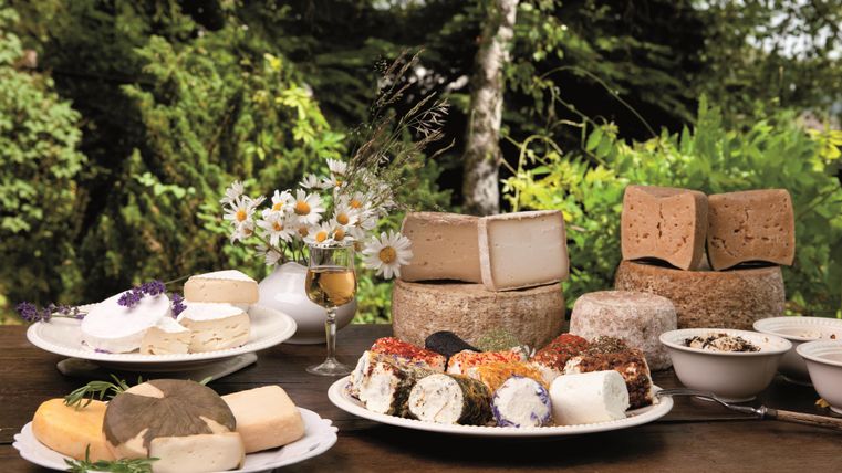 Ein reichhaltiges Käsebuffet im Freien mit verschiedenen Käsesorten auf Tellern. Im Hintergrund sind Blumen und Bäume zu sehen, die eine angenehme Atmosphäre schaffen.