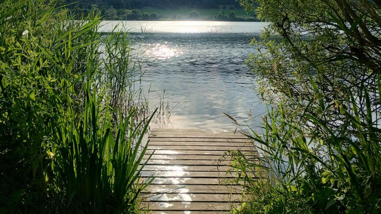 Ein malerischer Steg führt zu einem ruhigen See, umgeben von üppiger Vegetation. Die Sonne spiegelt sich sanft auf der Wasseroberfläche.