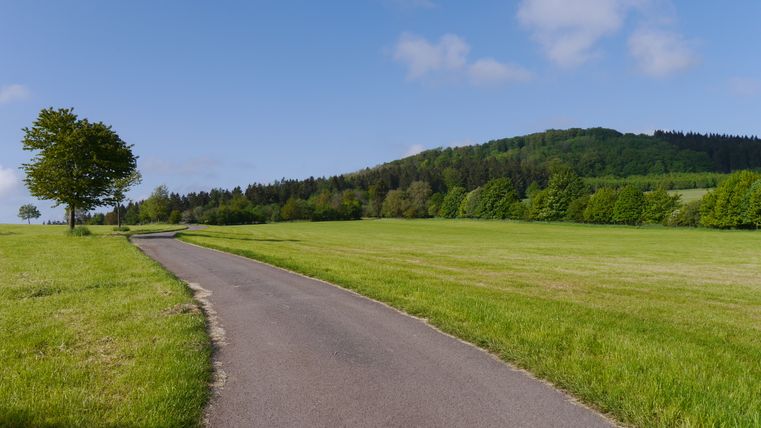 Asphaltierter Weg durch grüne Wiesen mit Bäumen und Hügel im Hintergrund unter blauem Himmel.