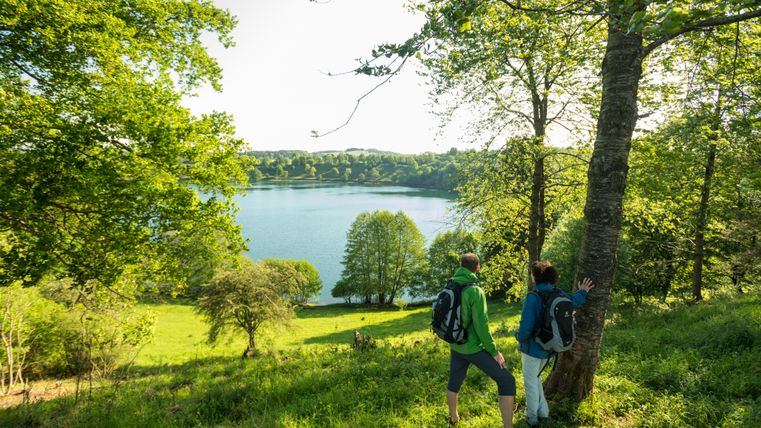 Zwei Wanderer schauen auf das Weinfelder Maar, einem See umgeben von Wiese und Bäumen.