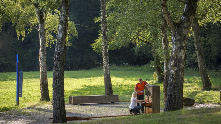 Eine grüne Wiese umgeben von Bäumen. Zwei Personen stehen an einem Spielgerät und interagieren miteinander.