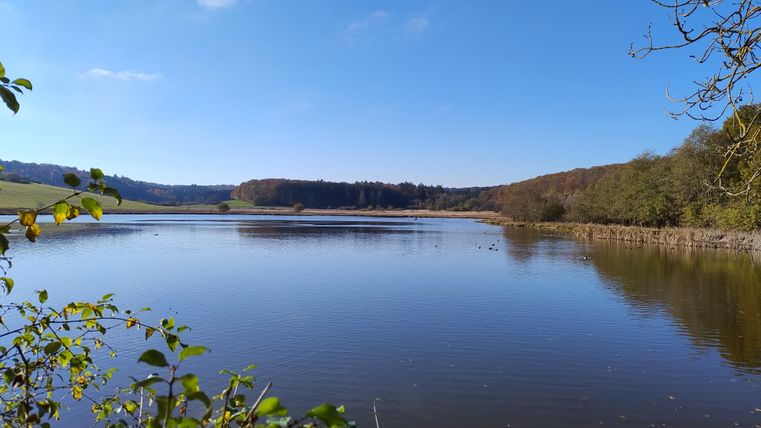 Ein ruhiger See umgeben von Bäumen und sanften Hügeln. Der Himmel ist klar und sonnig.