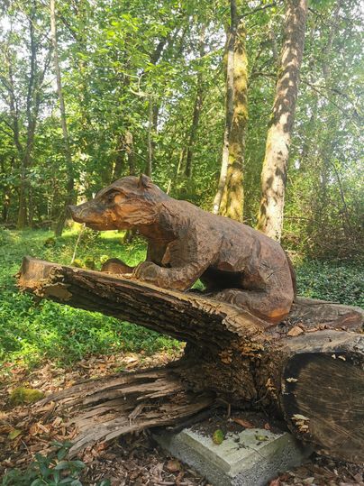 Eine kunstvolle Holzskulptur eines Bären auf einem abgelegten Baumstamm. Umgeben von grünem Laubwald und Sonnenschein.