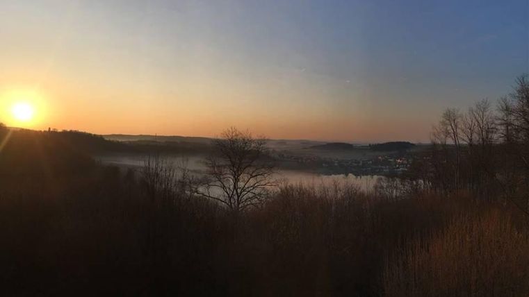 Eine malerische Landschaft bei Sonnenaufgang mit Nebel über dem Wasser. Die Bäume im Vordergrund schaffen eine ruhige Atmosphäre.